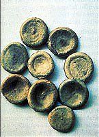 Bild Nr.1 zum Thema: Strychnos Nux Vomica