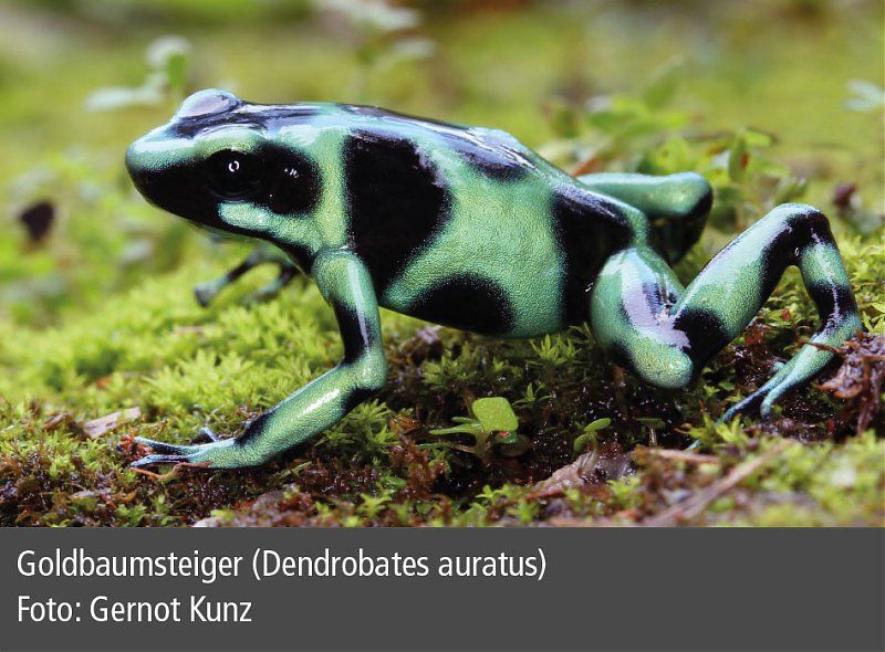 Kontentbild Nr.1